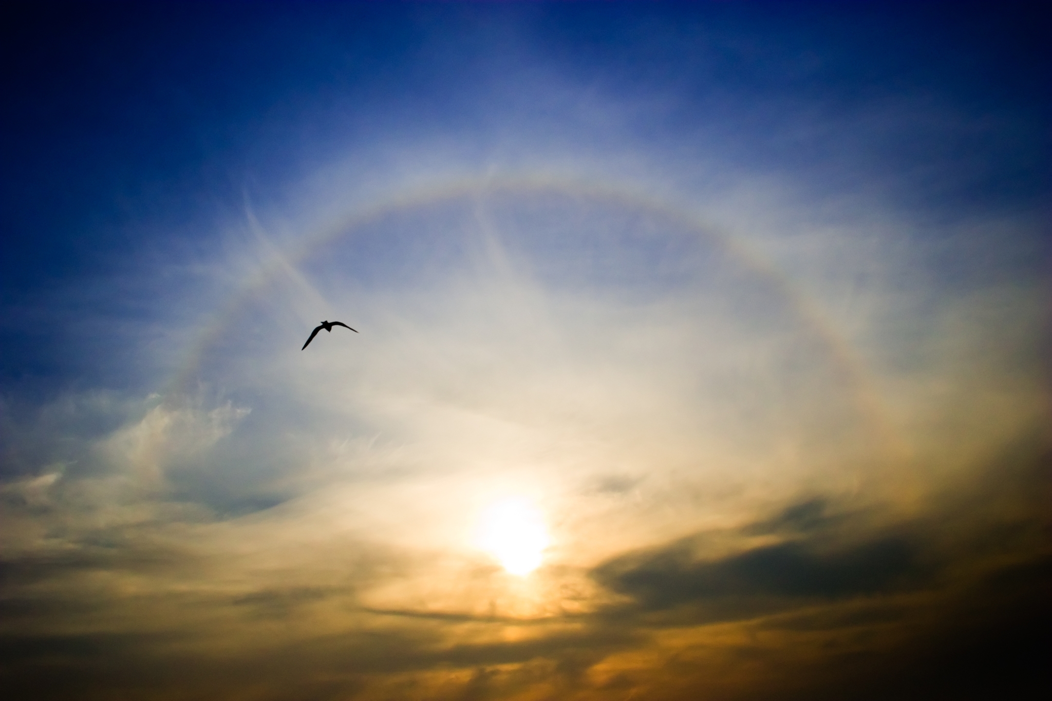 Shutterstock 8680975